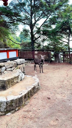 厳島神社奥宮と御山神社の神秘