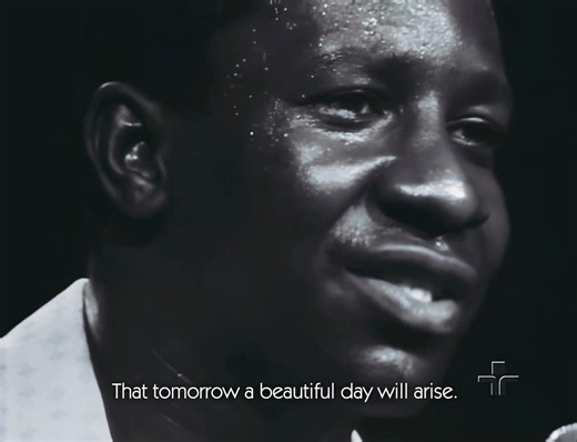 250K views · 9.6K reactions | Originais do Samba performing “Tenha...