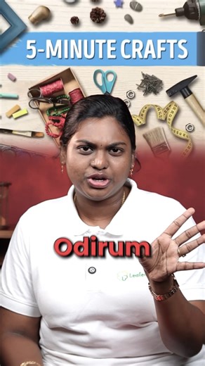 Paper Box Hacks You’ll Wish You Knew Earlier ♻️ | Fun, Easy & Eco-Friendly Ideas!