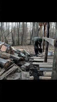 Ultimate Firewood Storage DIY! 🔥 Keeping Our Forest Cabin Warm