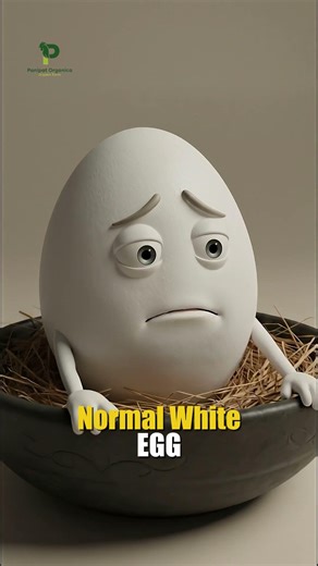 Which Egg Are You Eating?