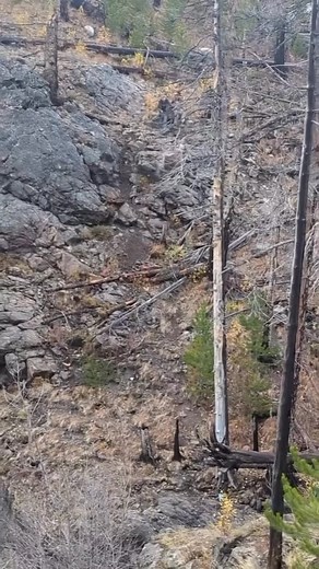 933K views · 68K reactions | 殺爐☝️✅️퐏퐚퐭퐡퐢퐯퐚퐫퐚 퐓퐨퐮퐫 퐏퐚퐜퐤퐚퐠퐞 ퟒ퐍/ퟓ퐃...