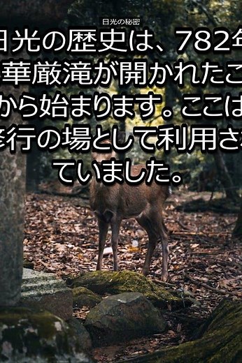 【日光旅行前に見て】日光が100倍楽しくなる歴史 #shorts #旅行 #日光 #観光 #歴史