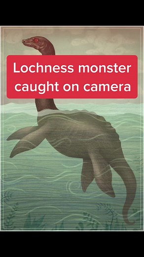 #wildlife#cryptids#lochness#lochnessmonster#monster#scary