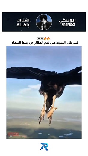 ركاب غير متوقعين في الجو💀🔥 ؟! #shorts #youtubeshorts #viralshorts