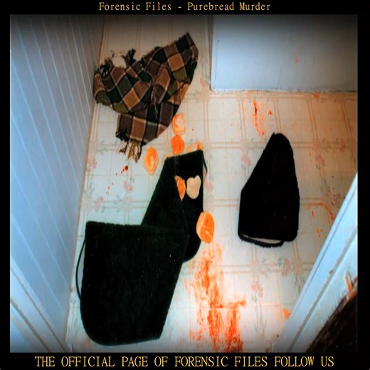 Forensic Files Purebread Murder Part 1 | Forensic Files 2024