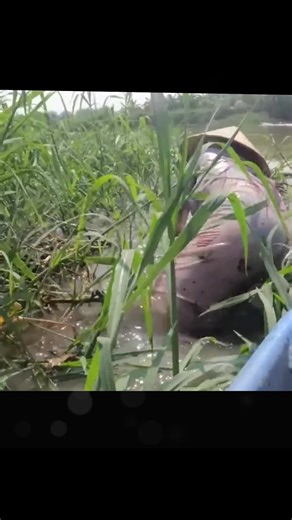 Beautiful Girl Fishing: A Joyful Catch