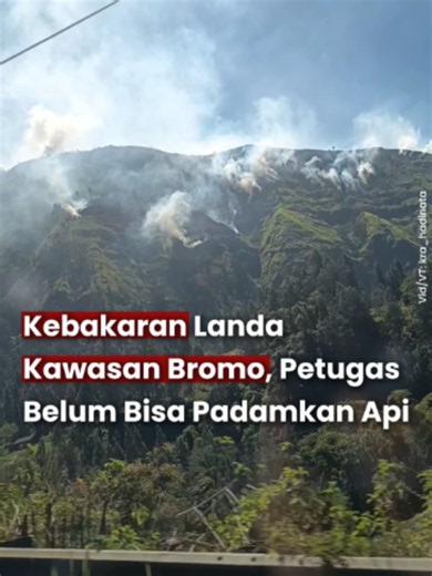 Keb4k4ran melanda lereng Pegunungan Tengger di kawasan Taman Nasional Bromo Tengger Semeru (TNBTS), wilayah Sapikerep, Kecamatan Sukapura, Kabupaten Probolinggo, Sabtu (25/7/2026). Petugas BPBD belum dapat melakukan pemadaman karena angin bertiup kencang dan masih fokus melakukan pemantauan. Ikuti @tugujatimid untuk berita update di Jawa Timur. #tugujatim #kebakaran #karhutla #bromo