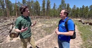 Regrowth: The science behind nature's comeback from the Black Forest Fire