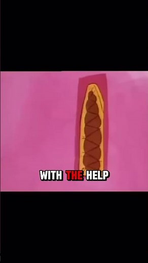 A Boomerang Classic, Hong Kong Phooey