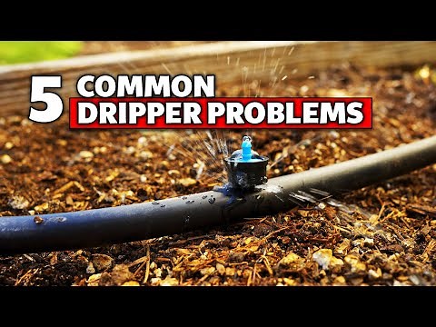 5 Common Drip Emitter Issues and How to Troubleshoot (for Beginners)