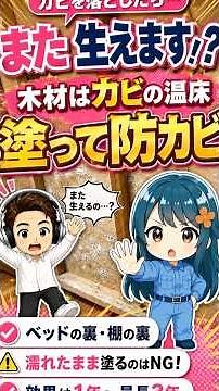 #カビ を落としてもまた生えます！？カビの温床『木材』を #防カビ対策 ！稀麗のカビ相談室