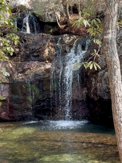 Ganza Media on Reels