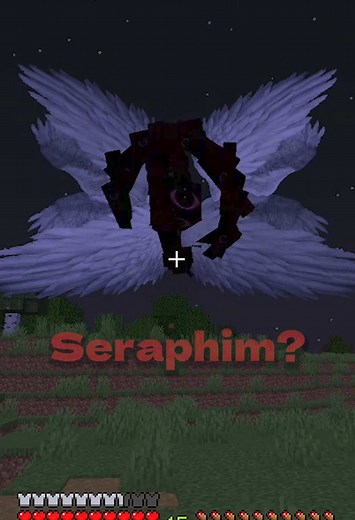 Minecraft: Defeating the God and Seraphim Challenge