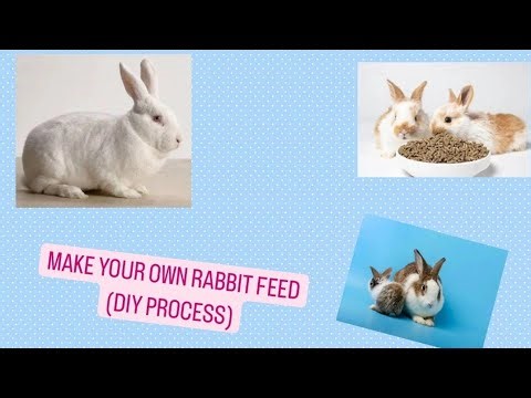 HOW TO MAKE YOUR OWN RABBIT FEED (DIY)