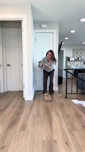 Bunny Pick Up Training