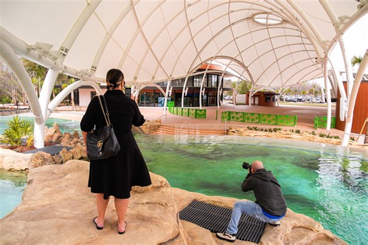 3 things that make Jacksonville Zoo’s new manatee exhibit worth a visit