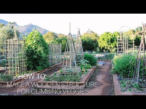 How To: Make a Wooden Pyramid Structure for Climbing Veggies