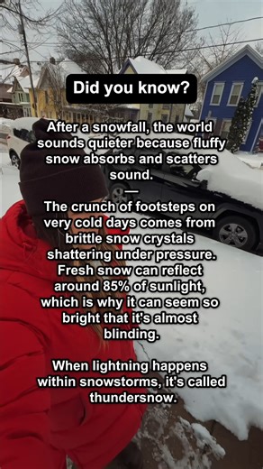 Spark: Fun Facts, Every Day | Did you notice how quiet it gets after a snowfall? ❄️ | Instagram