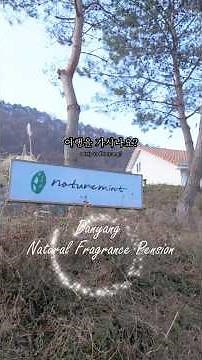 [Danyang Travel] Jayeonhyang Pension, Danyang Accommodation Recommendation, Danyang Stay, Danyang...
