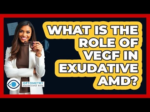 What Is The Role Of VEGF In Exudative AMD?