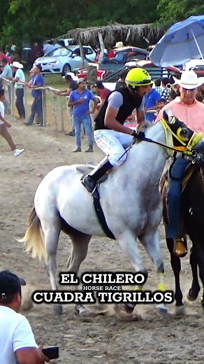 🐯🔥 . . . . . #carrerasdecaballos #caballos #aficionados #vivamexico #money | HORSE RACE