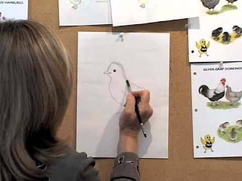 How to Draw a Chick by Jan Brett
