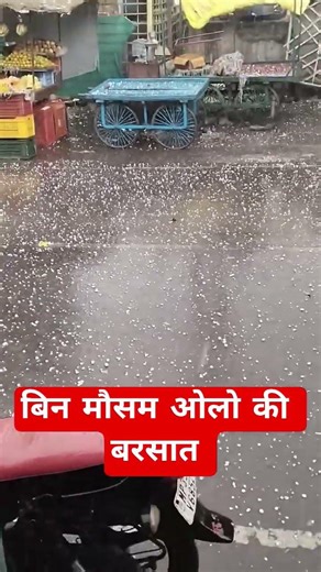ओलो का कहर #trending #rain #snow #foryou #highlights #fyp