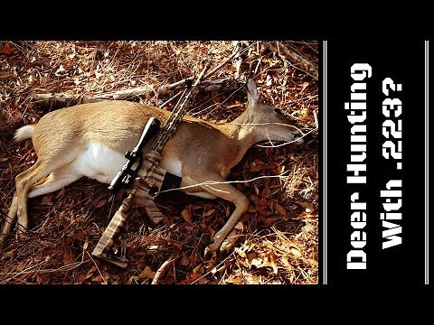 So You Want To Deer Hunt with an AR-15/.223?