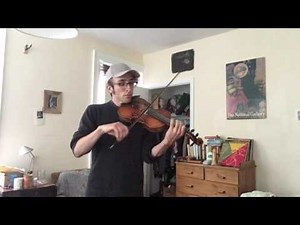 Maggots in the Sheep Hide