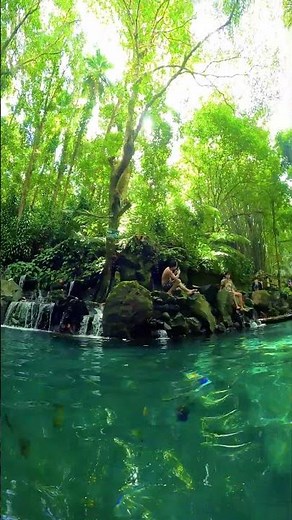 BATO SPRING | SAN PABLO CITY