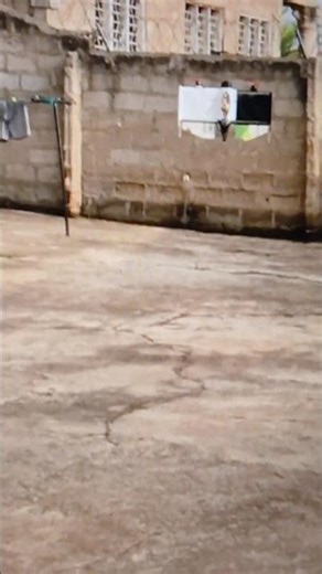 Bicopter wing. ....ardupilot is the stability king.