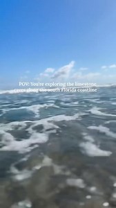 Did you know you can explore limestone caves right here in The Palm Beaches? 🌊 Coral Cove Park in Jupiter, FL, is a hidden gem with a breathtaking rocky shoreline shaped by the Atlantic waves. Whether you’re planning a beach day, a proposal, or a bucket-list photo shoot, this spot offers the perfect backdrop. Pro Tip 👉 Visit during low tide for the best views of these unique rock formations up close! #ThePalmBeaches #LOVEThePalmBeaches 📍 Jupiter, FL 📽️ @junobeachliving | Discover The Palm Be