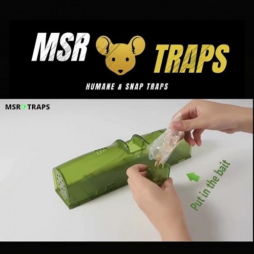 Easy-to-use mouse traps with free delivery all over the United Kingdom https://msrtraps.co.uk/