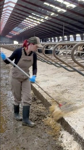 🐄 24/7 Cow Farm Life: Meet the Hardworking Farm Girls