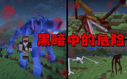 ★我的世界★黑暗中的危险