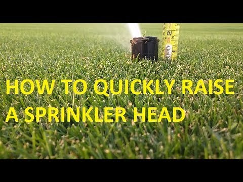 How to raise a sprinkler head in under 5 minutes