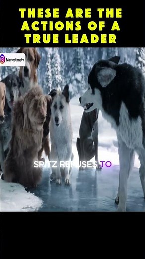 One Dog's Amazing Act of Kindness For His Friends!