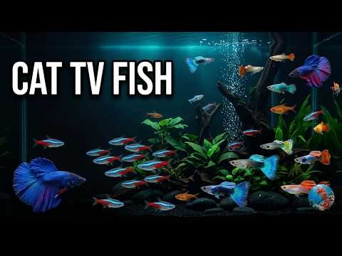 Soothing Fish Tank for Cats: With Bubbling Water | 3Hours No Music