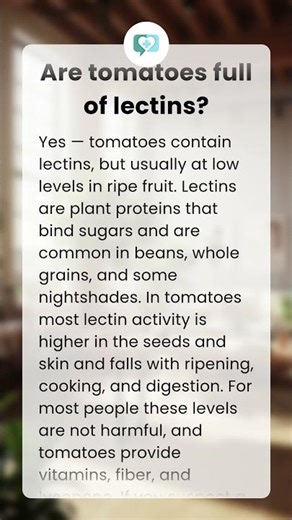 Are tomatoes full of lectins?