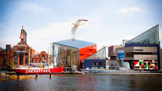 7 fun and family-friendly things to do in Baltimore with kids - Today's Parent