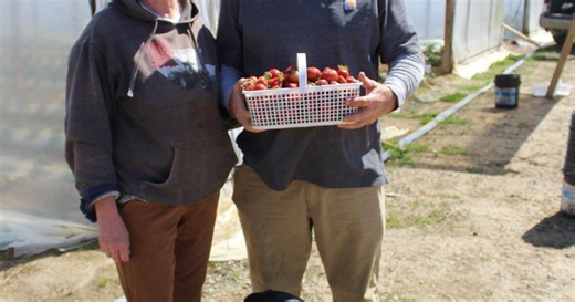 A Way of Life: Chambers Farms has been growing crops since 1974