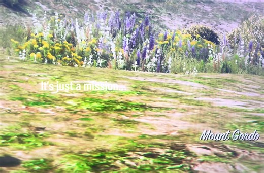 Exploring the Bodgan Problem in GTA V