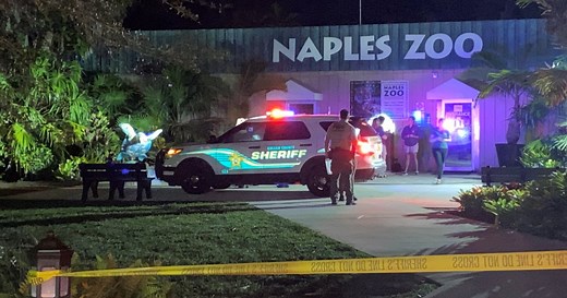 Tiger fatally shot after biting worker’s arm at Florida zoo, authorities say