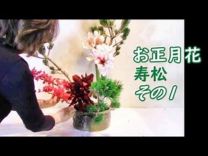 【お正月花】_寿松で豪華なお花をいける_アマリリス_Ikebana Flower arrangement for New year)
