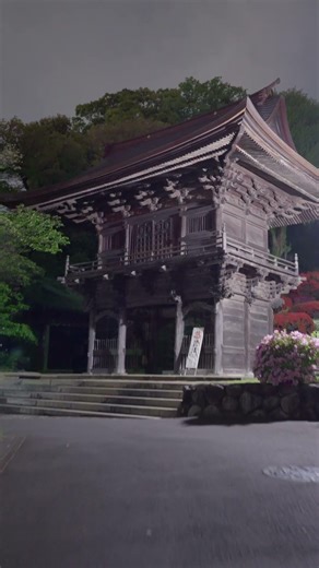 2026/04/17 #夜 #つつじ寺 #神木山 #等覚院 #LUMIX #S1RII #Cinematic #8K動画 #ツツジ #flowers #night #azalea #nature