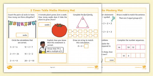 2 Times Table Maths Mastery Mat
