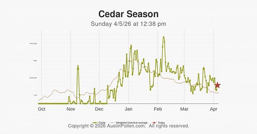 Austin Pollen | Cedar pollen count history average trend allergy