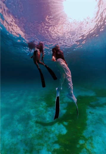 Underwater Idols: An Awra Dive with Miss Anne