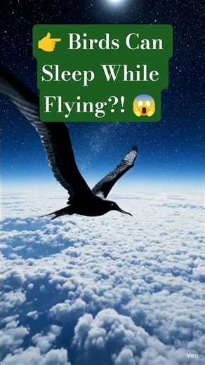 How Do Birds Sleep While Flying? | The Half-Brain Sleep Mystery #shorts #trending #viral #ytshorts